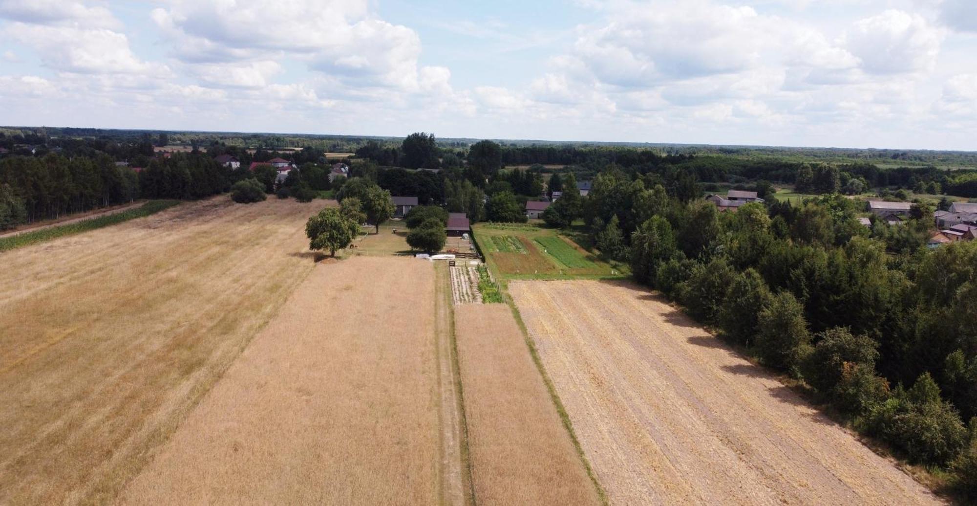 Agroturystyka Kraina Jezior Ludwin Bagian luar foto
