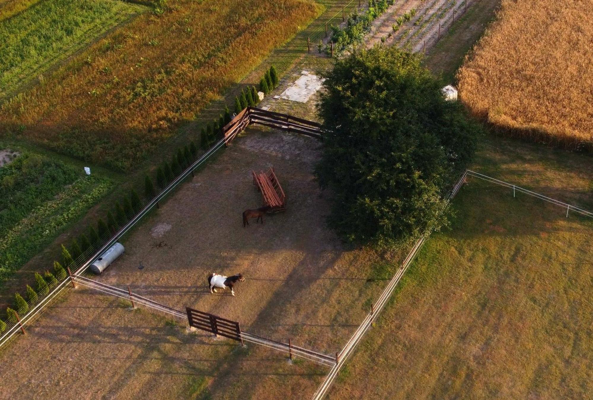 Agroturystyka Kraina Jezior Ludwin Bagian luar foto